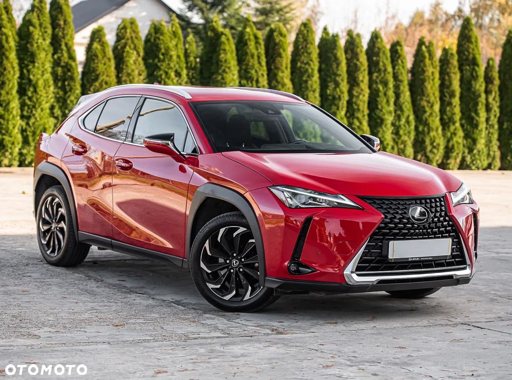 Lexus UX 200 GPF Business 2WD - 10