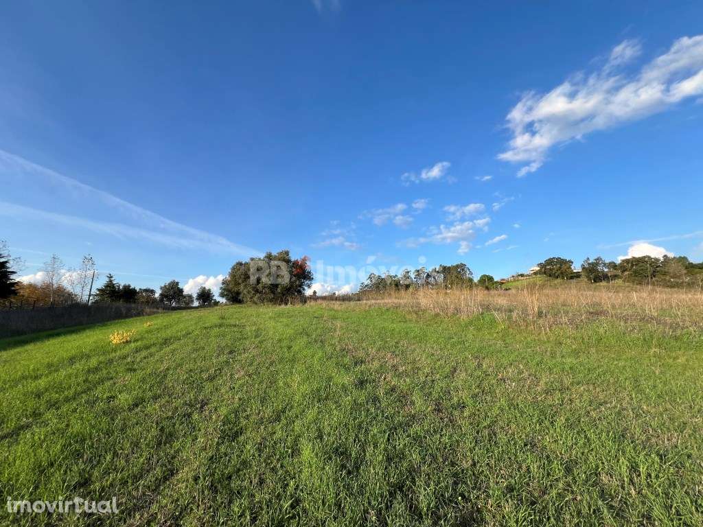 3 x Terrenos Rústicos - Tomar - Grande imagem: 2/29