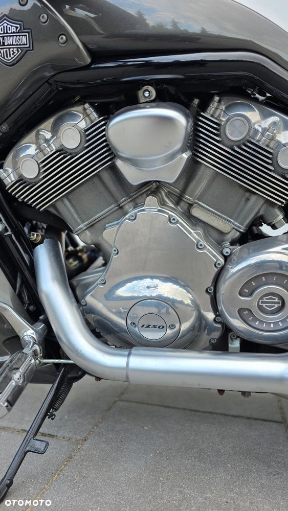 Harley-Davidson V-Rod Muscle - 11