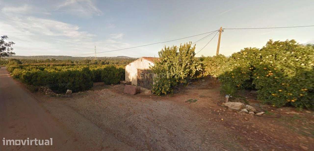 Terreno com 6 hectares e armazém de apoio - Grande imagem: 3/3