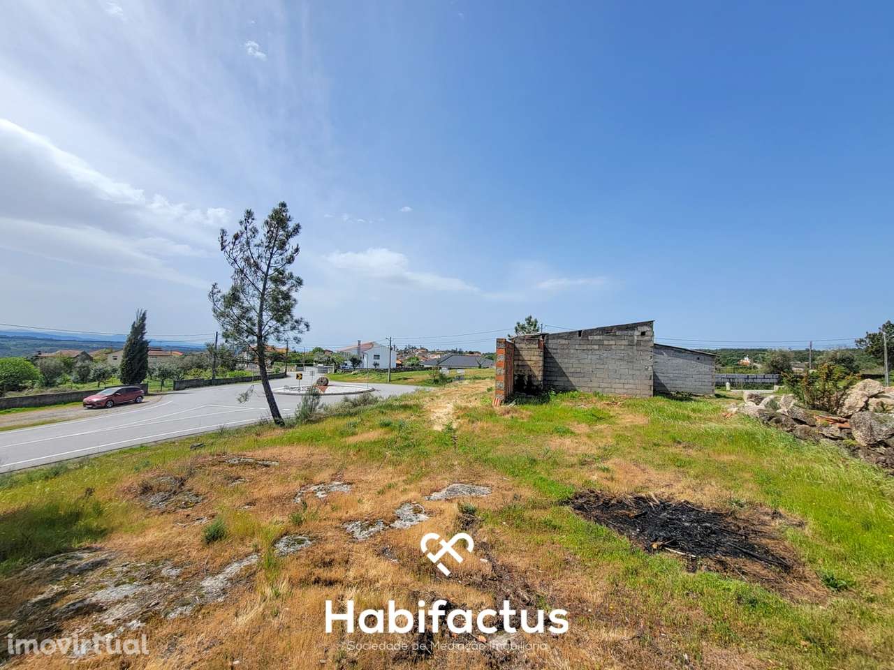 Terreno Rústico com 4.672 m2, com Olival e Pavilhão, á Venda em Abrunh - Grande imagem: 4/16