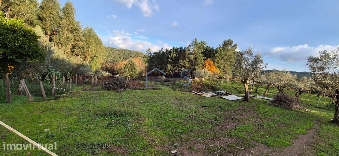 Moradia T2 para Recuperar com Terreno de 4.080 m² | Ferreira do Zêzere - Grande imagem: 3/30