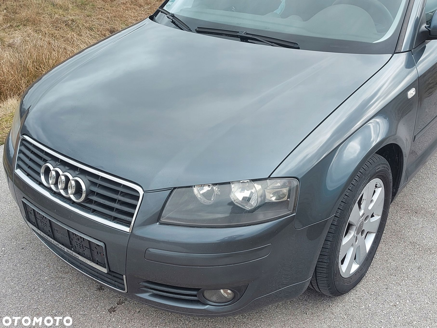AUDI A3 8P 1.9 Tdi 03- ZDERZAK PRZÓD PRZEDNI LX7Z - 2