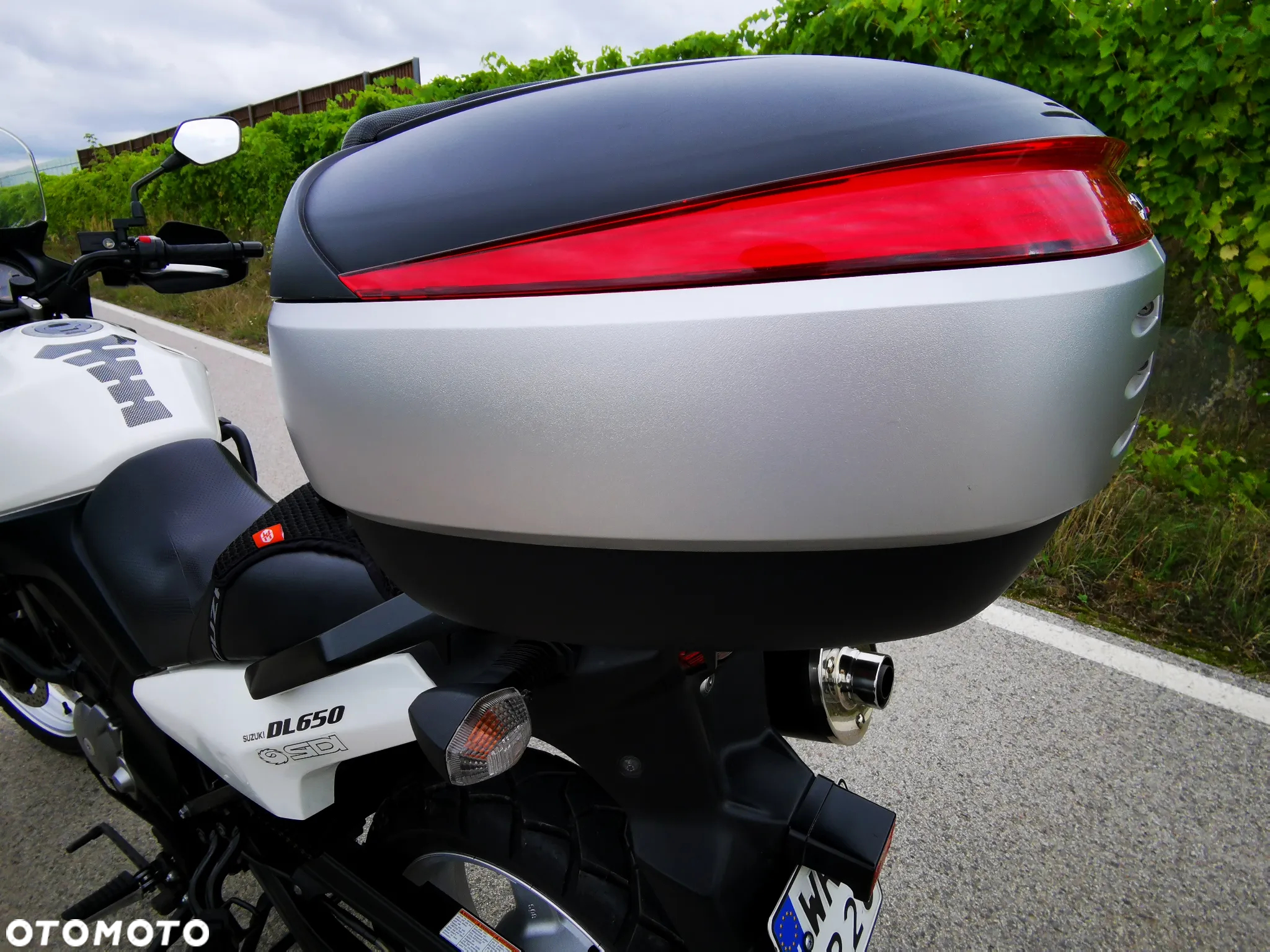 Suzuki DL - 22