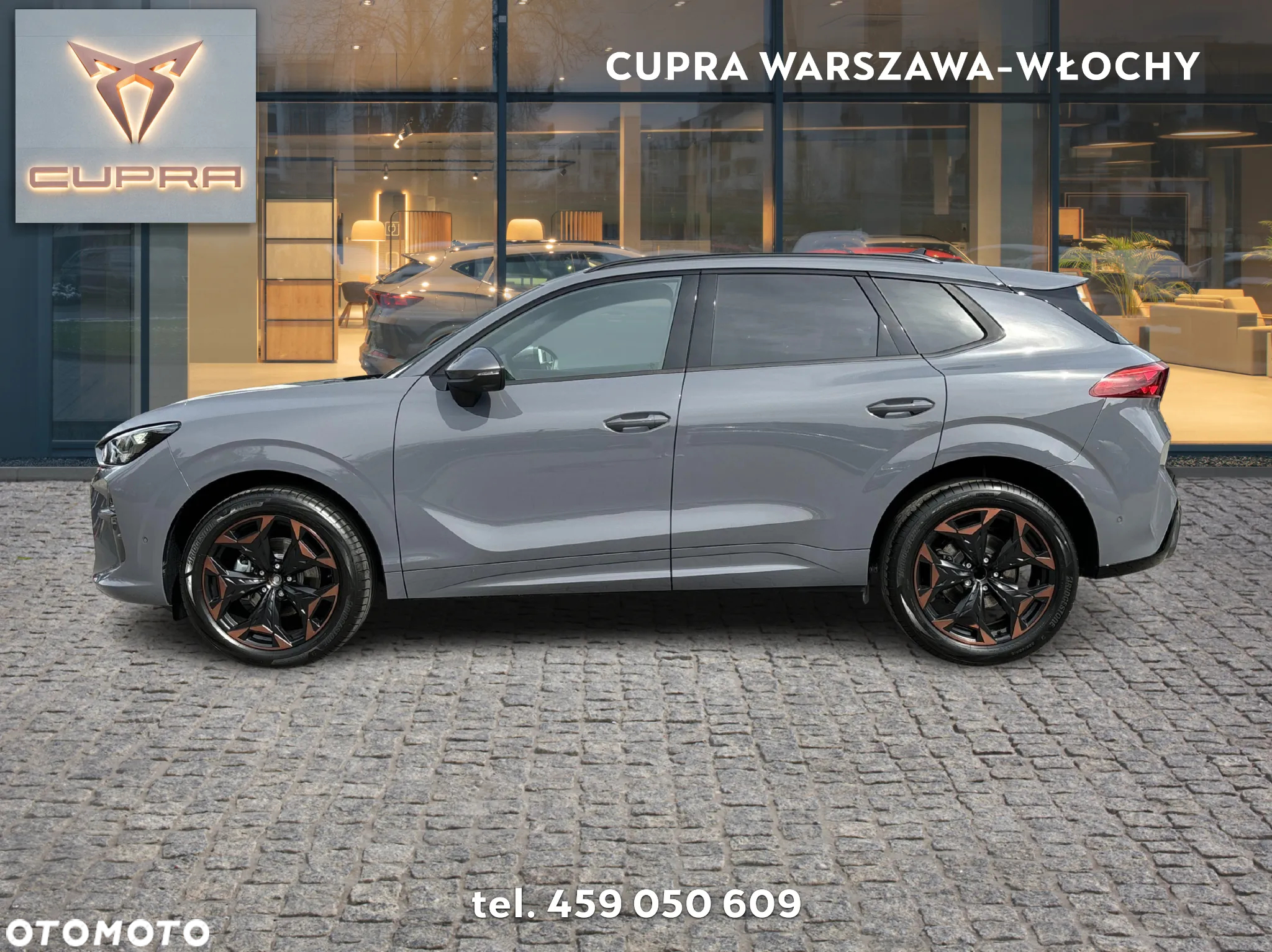 Cupra Terramar - 2