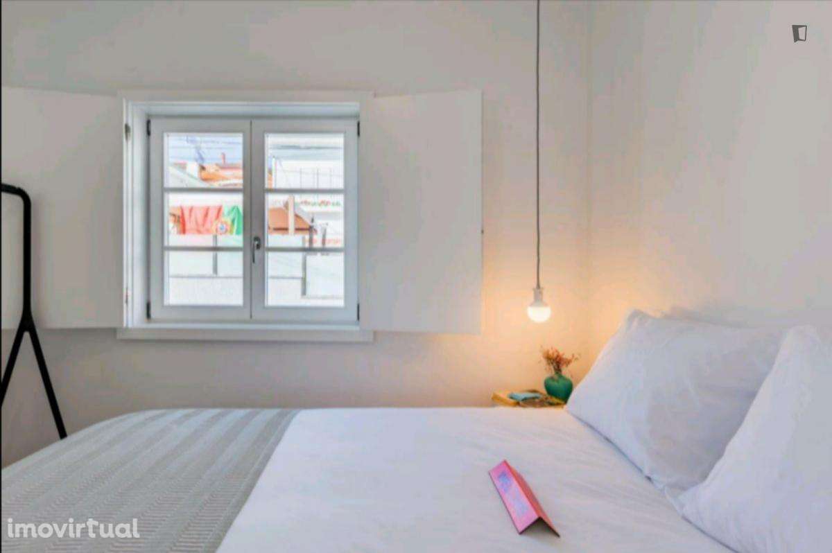 Casa com 2 quartos - localizado em Santa Marinha Porto - Grande imagem: 5/46