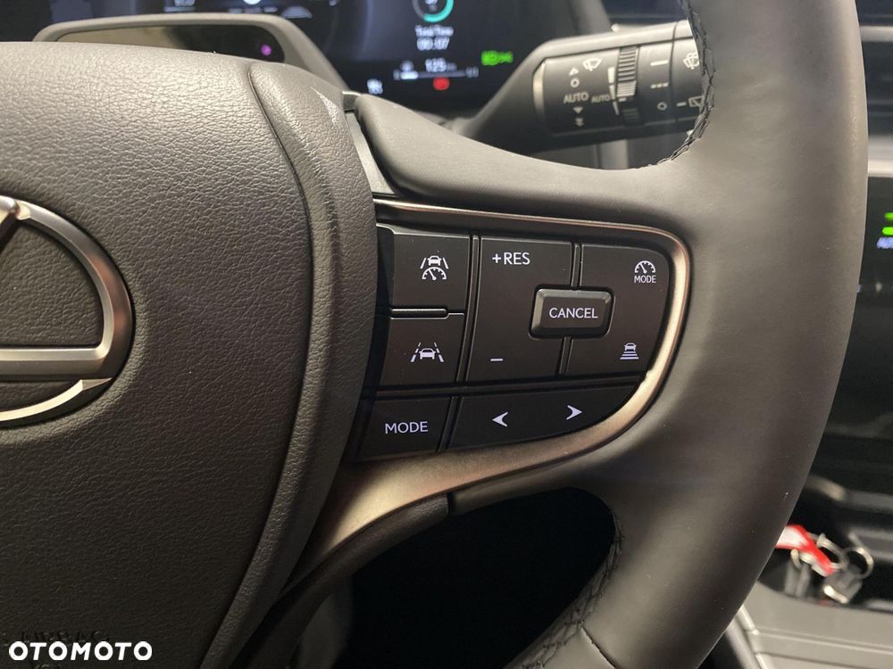 Lexus UX 300h F Sport Design - 14