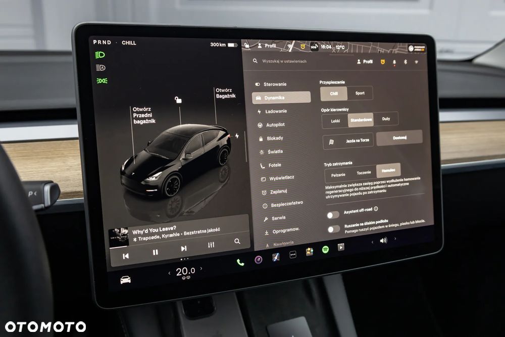 Tesla Y Performance AWD - 19