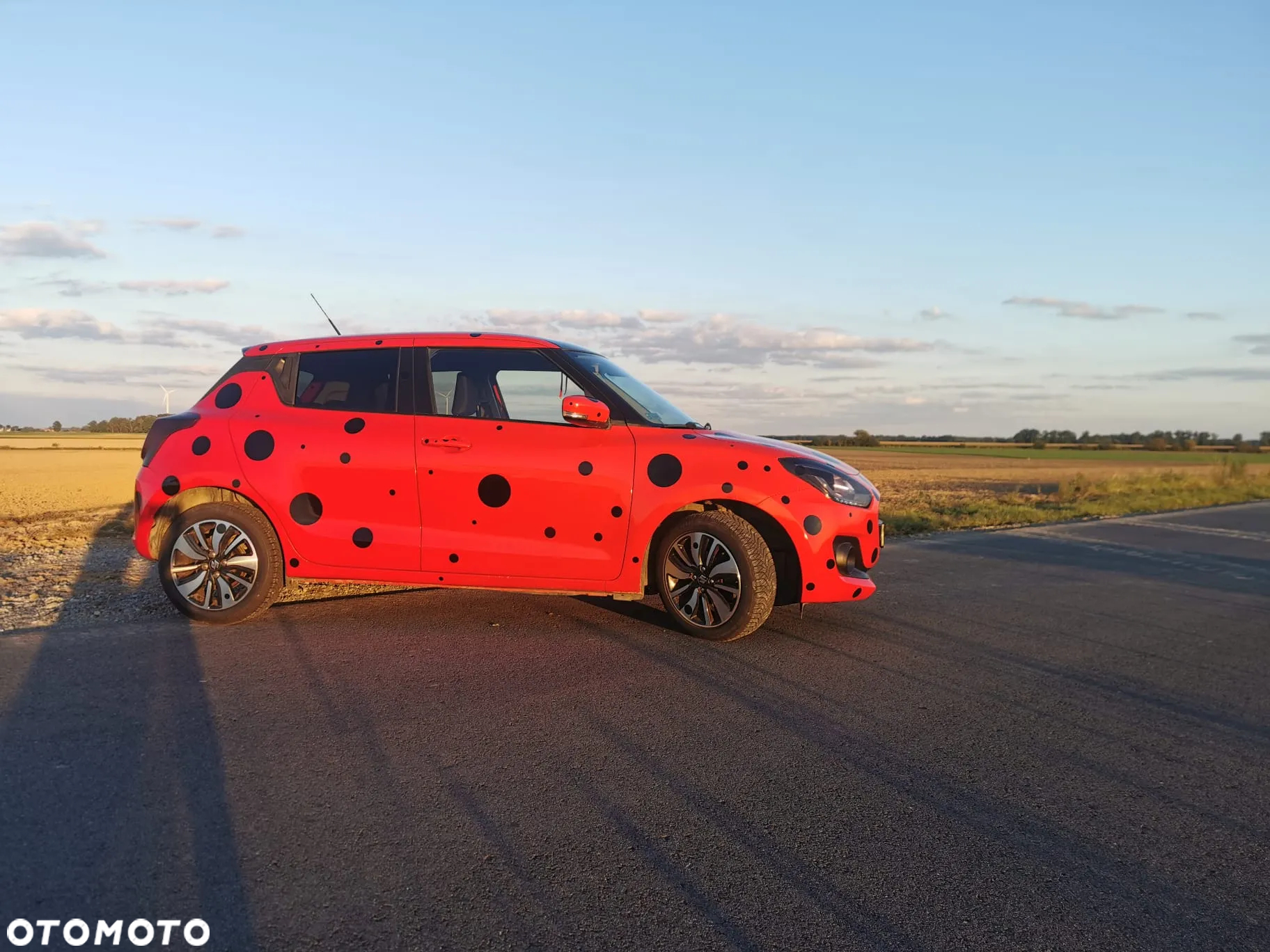 Suzuki Swift - 10
