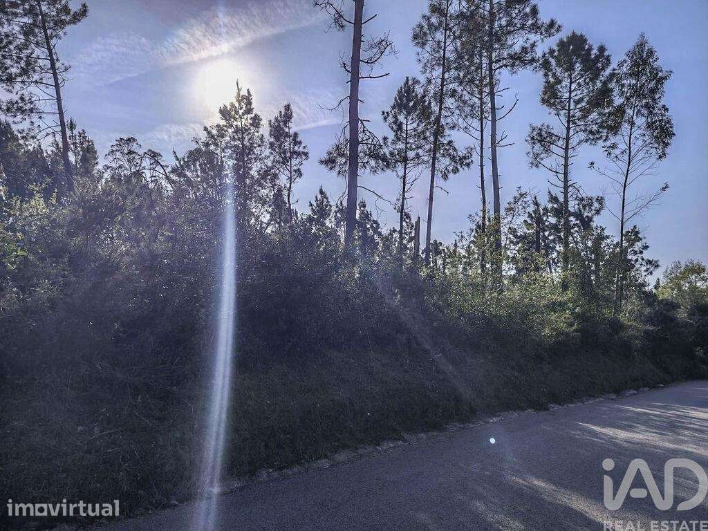 Terreno Agrícola em Maceira - Grande imagem: 5/7