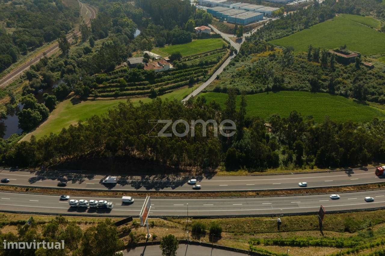 Terreno Florestal em Santo Tirso - Grande imagem: 5/7