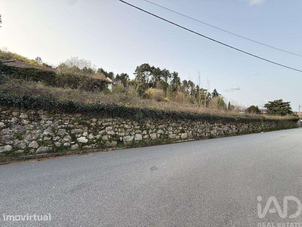 Quinta rural T4 em Parada de Cunhos de 120 m2 - Grande imagem: 5/6
