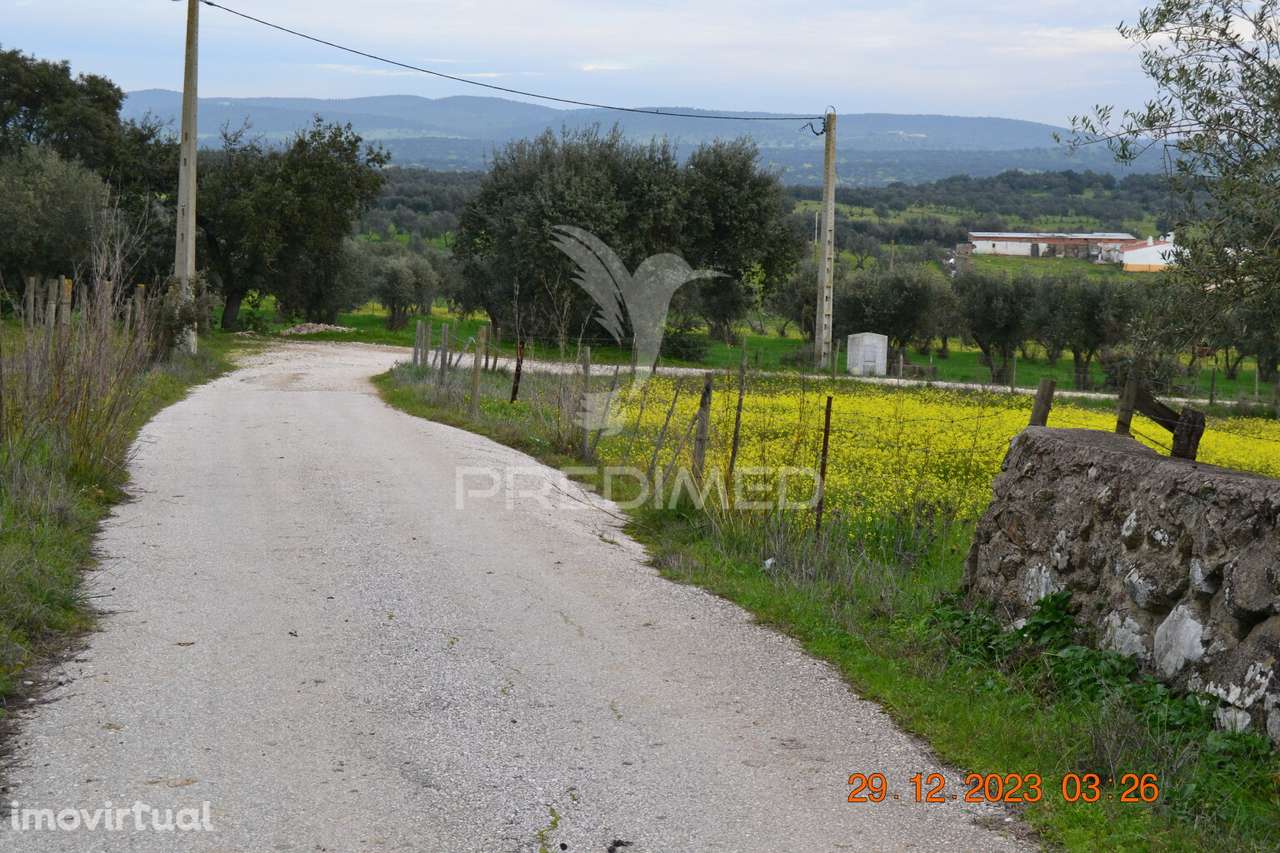 Terreno Rustico - Grande imagem: 2/20