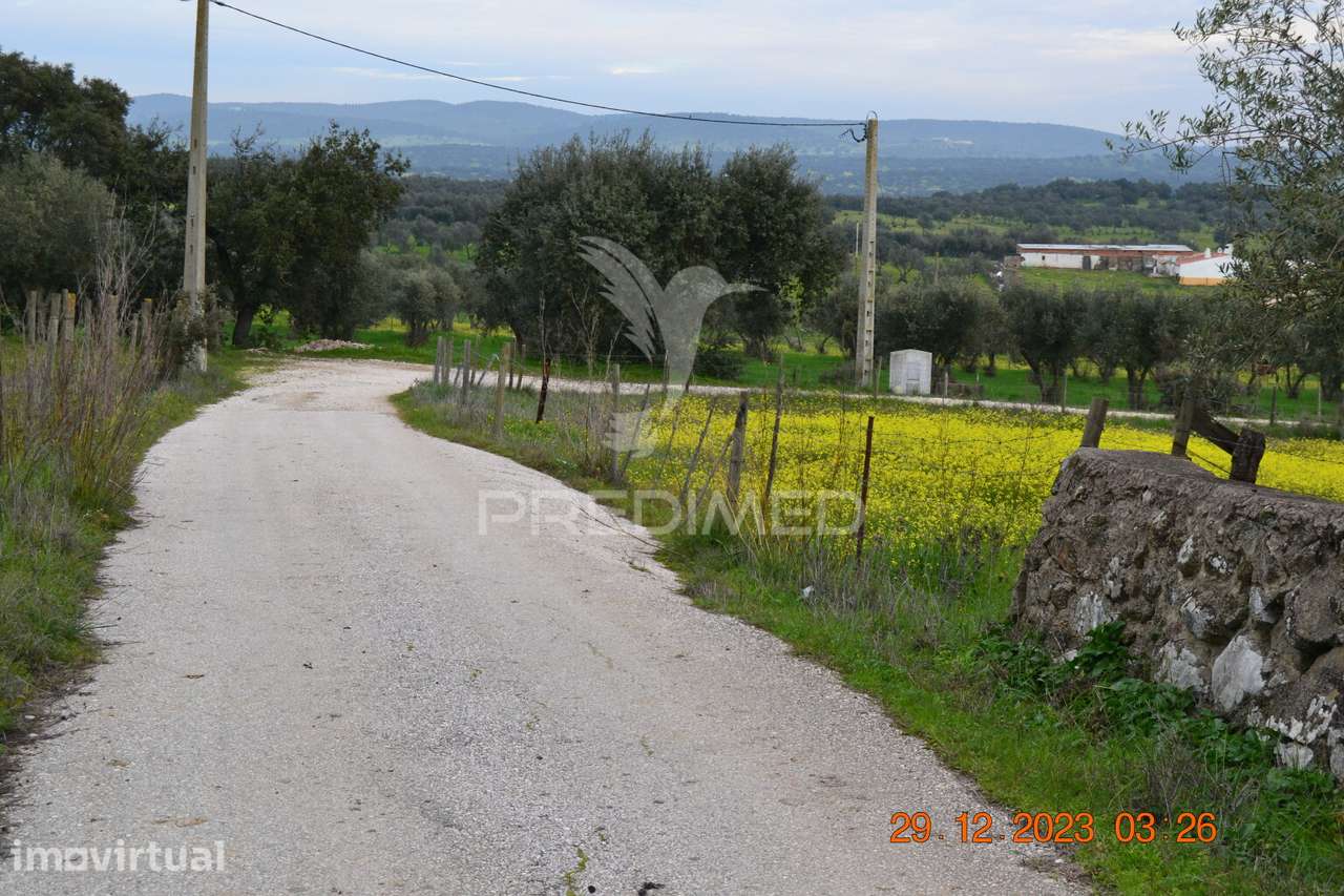 Terreno Rustico - Grande imagem: 2/20