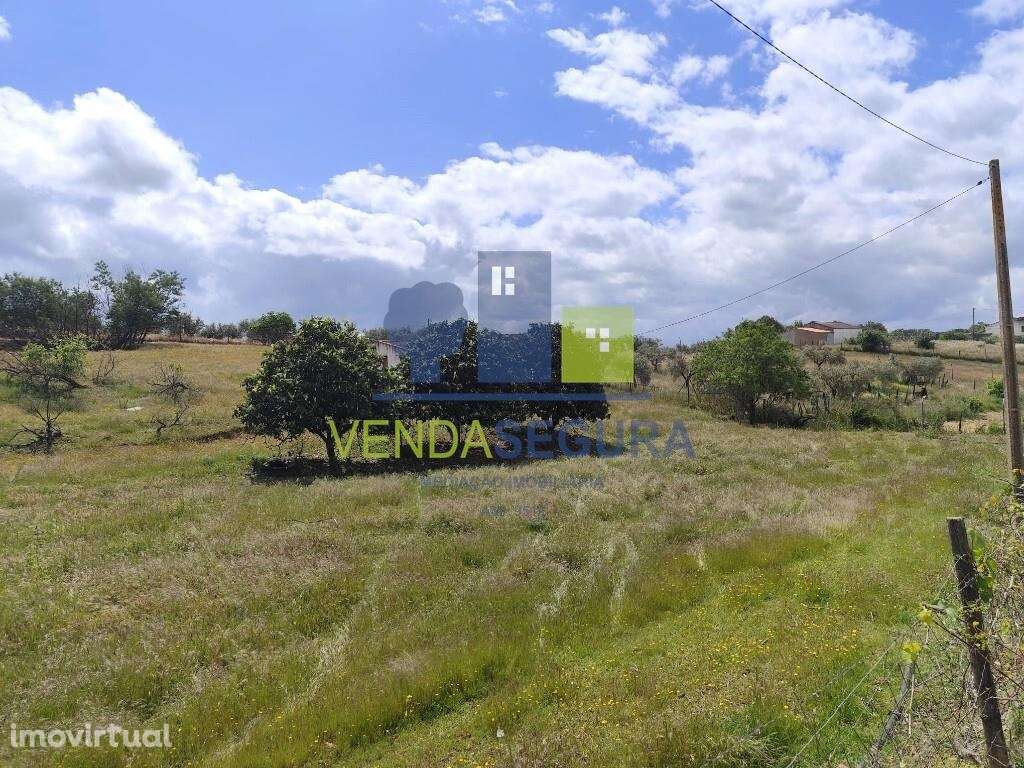 2 Terrenos Rústicos 0,6 Ha | Sobral da Adiça - Grande imagem: 2/9