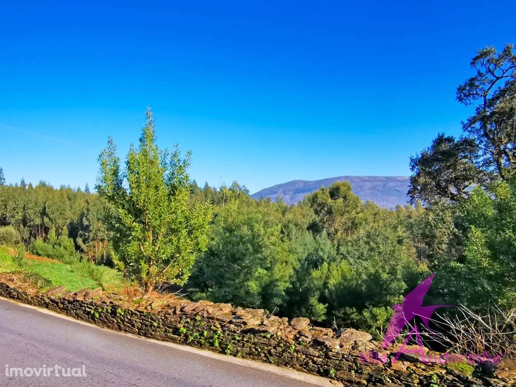Terreno em Nogueira com 3 000m2 para 3 moradias individuais - Grande imagem: 2/9