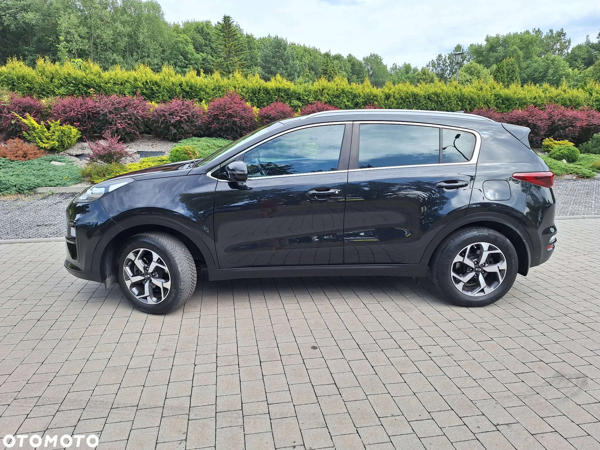 Kia Sportage 1.6 GDI L Business Line 2WD - 29