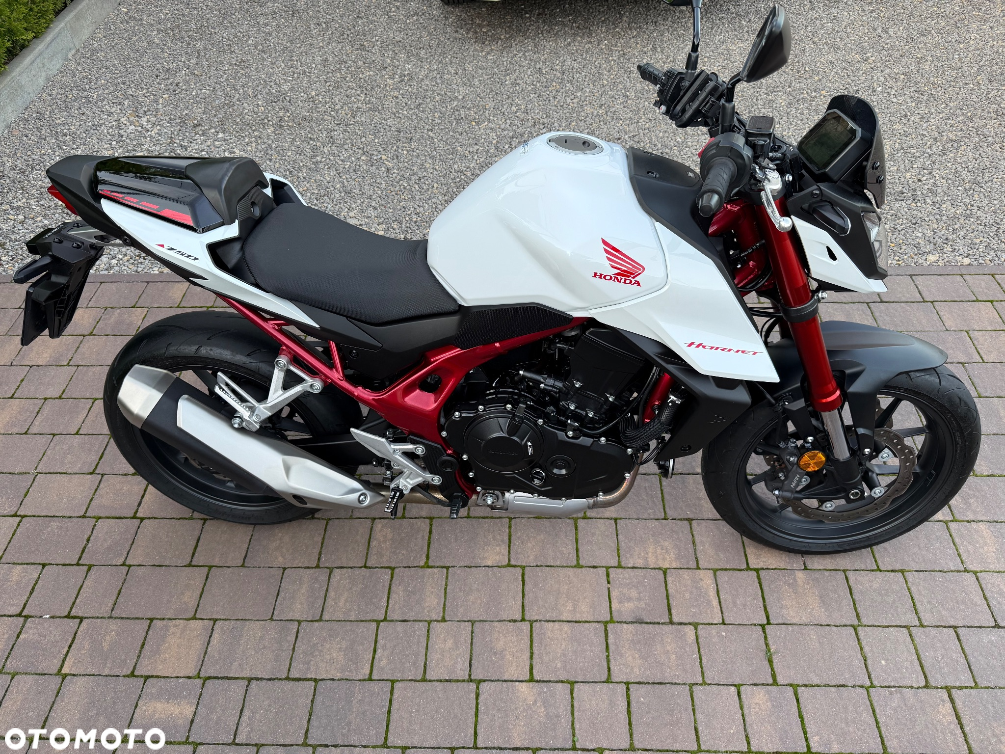 Honda Hornet - 6