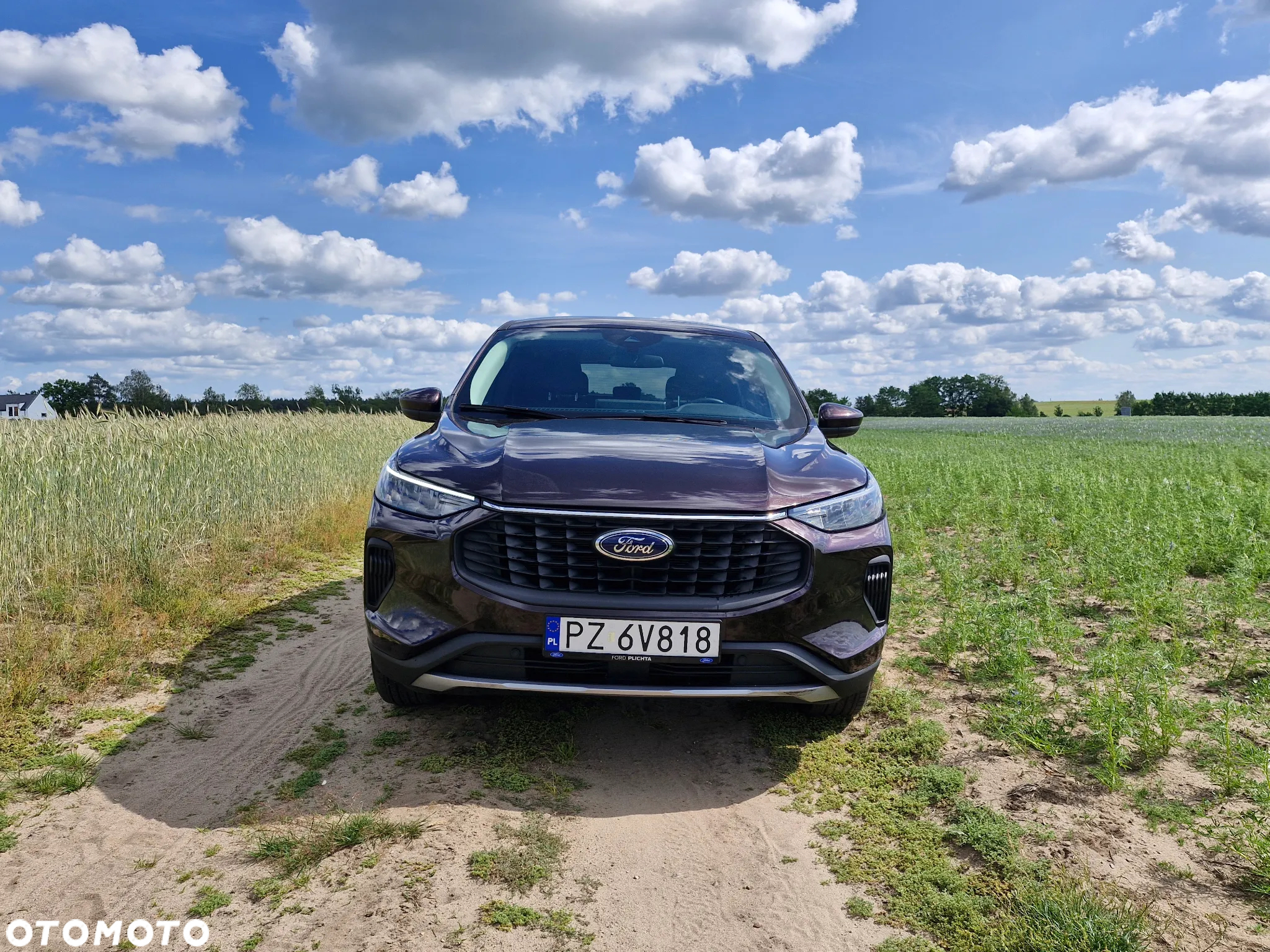 Ford Escape 1.5 EcoBoost AWD SE - 6