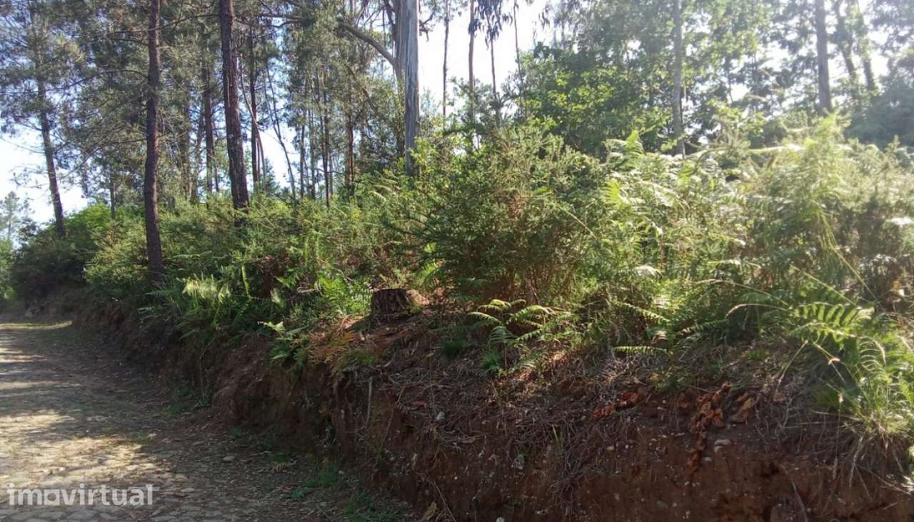 Terreno para venda, Orbacém, Caminha - Grande imagem: 3/8