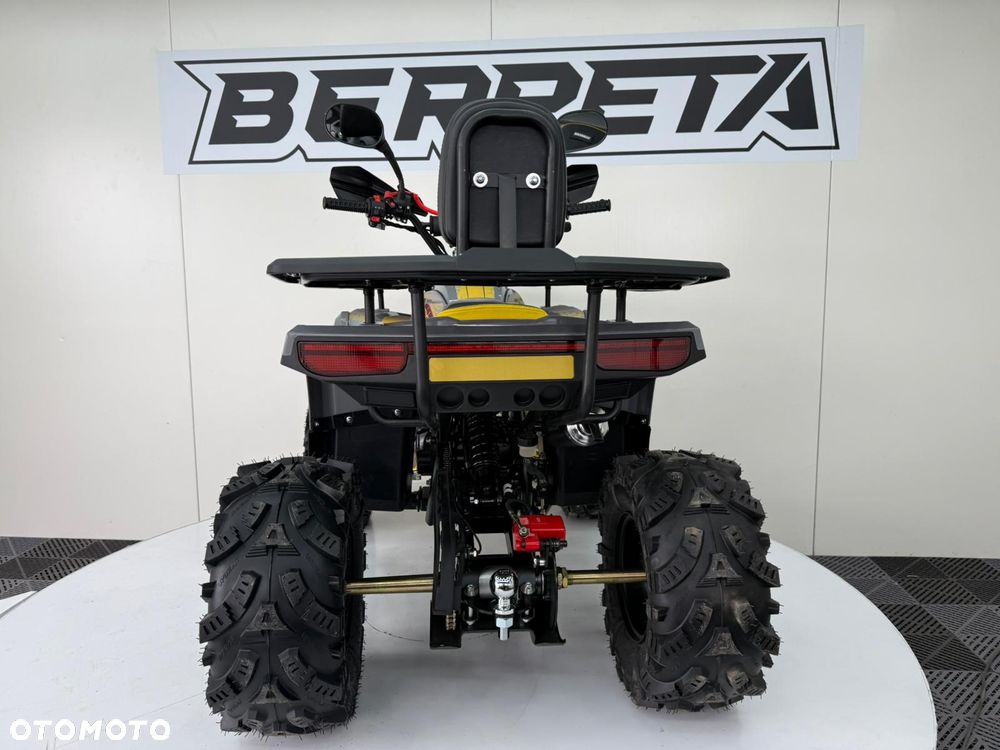 Berreta Scream - 19