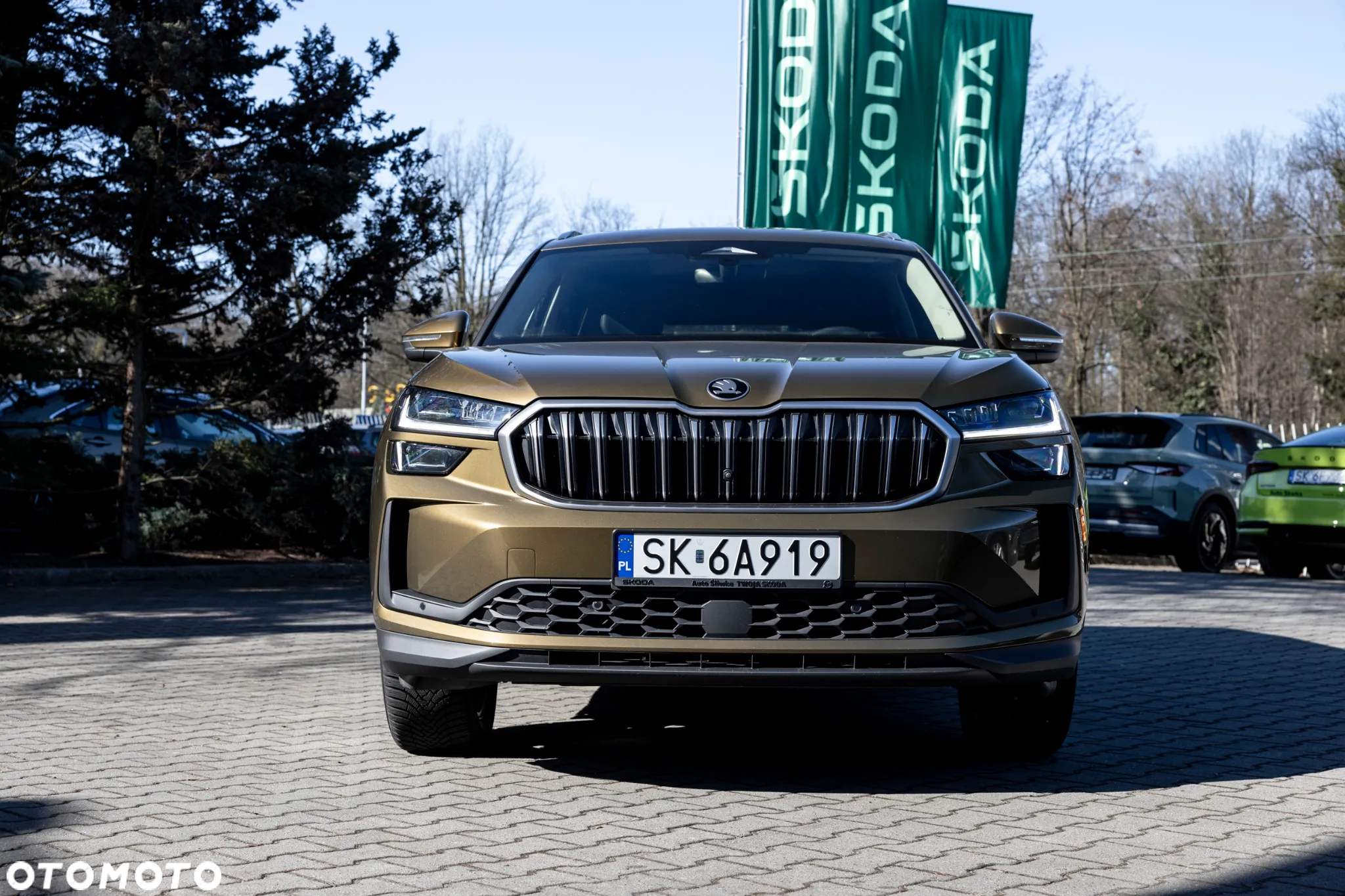 Skoda Kodiaq 2.0 TDI 4x4 Selection DSG - 3