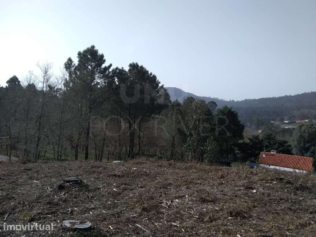 Lote de terreno urbano para construção em Nogueira - Grande imagem: 4/11