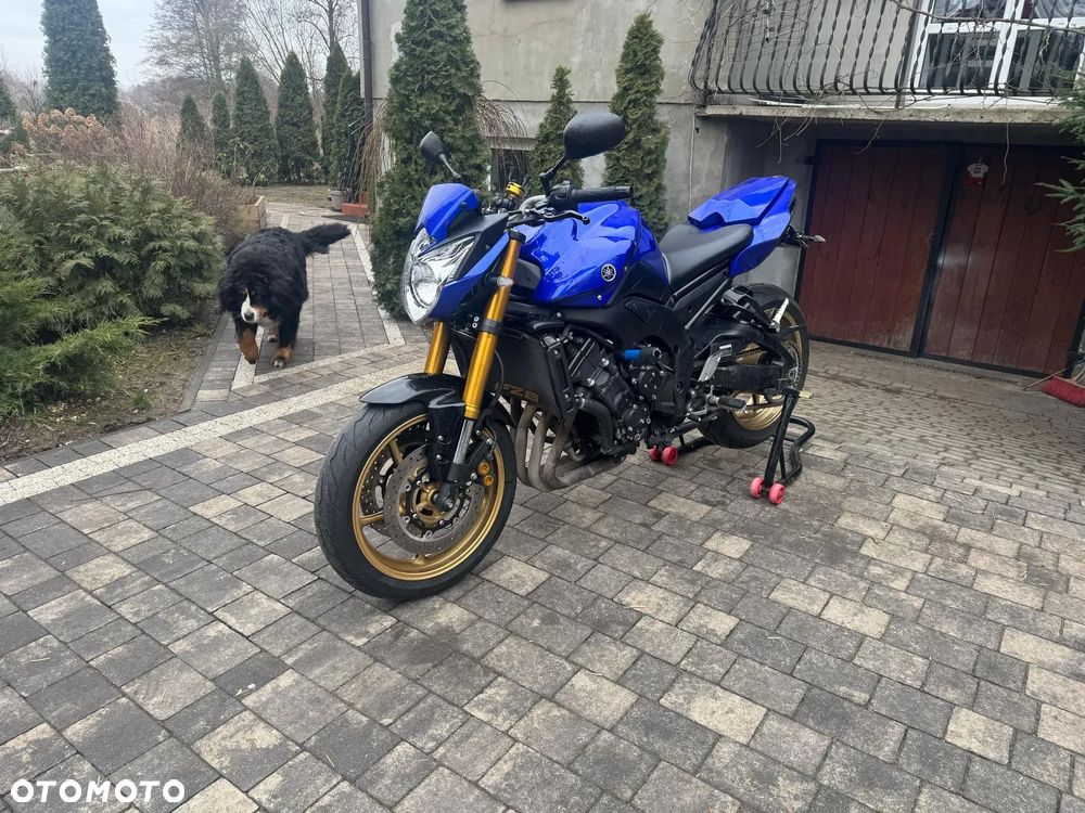 Yamaha FZ8 - 9