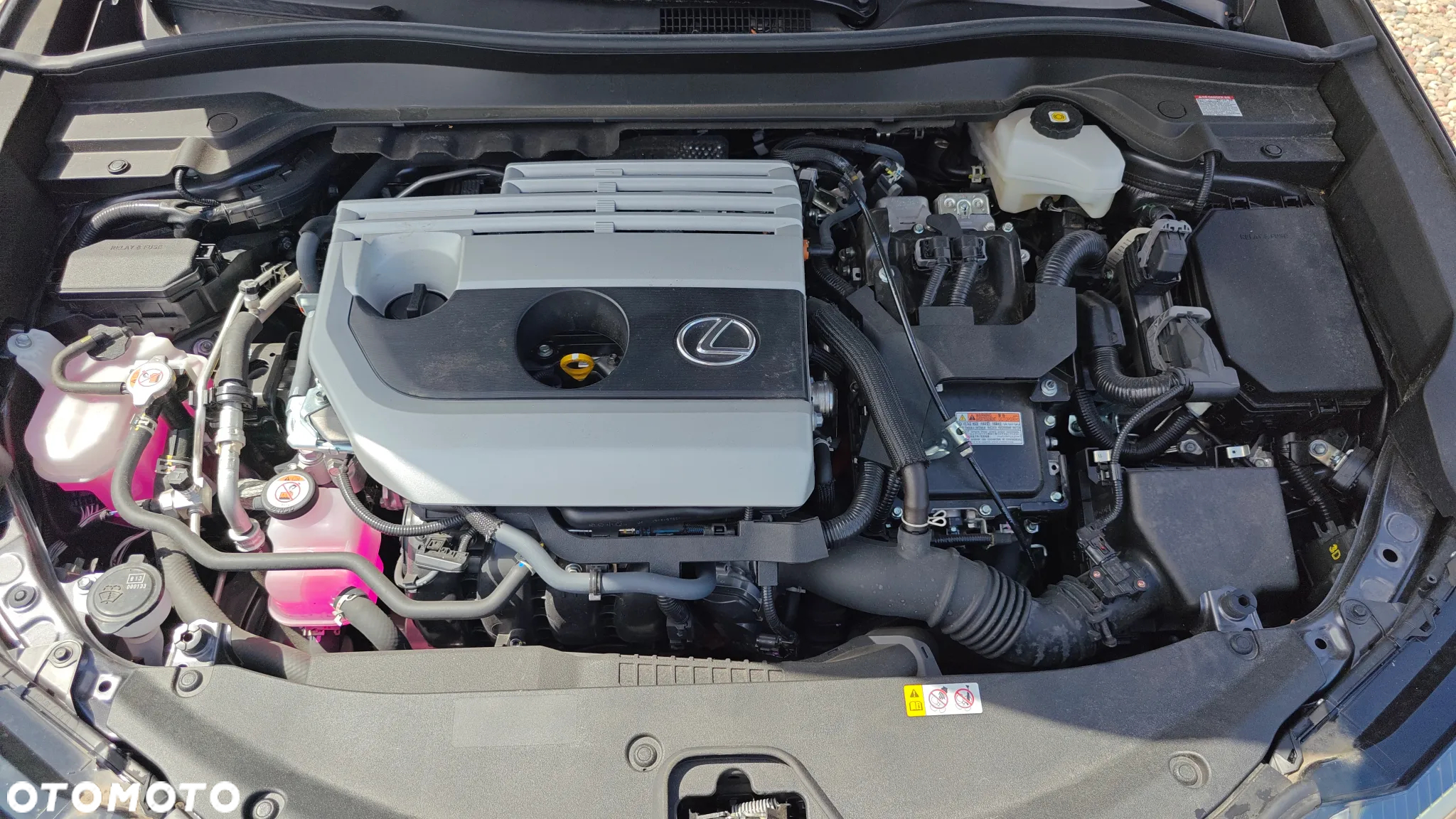 Lexus UX 250h GPF F Sport 2WD - 40