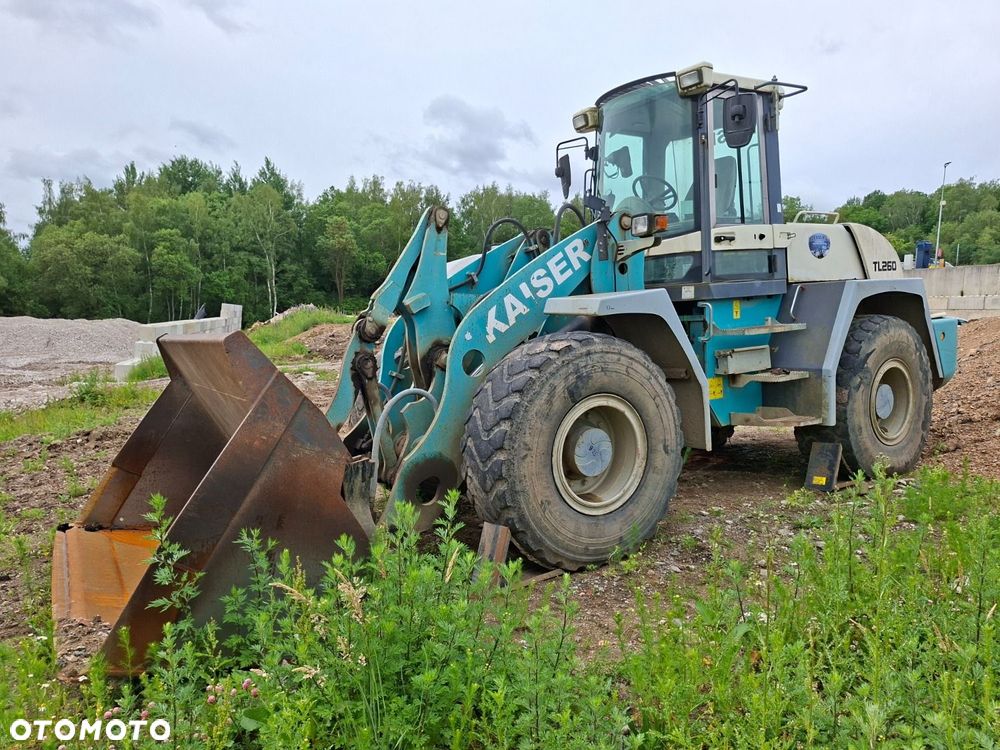 Terex Tl 260 4X4 - 8