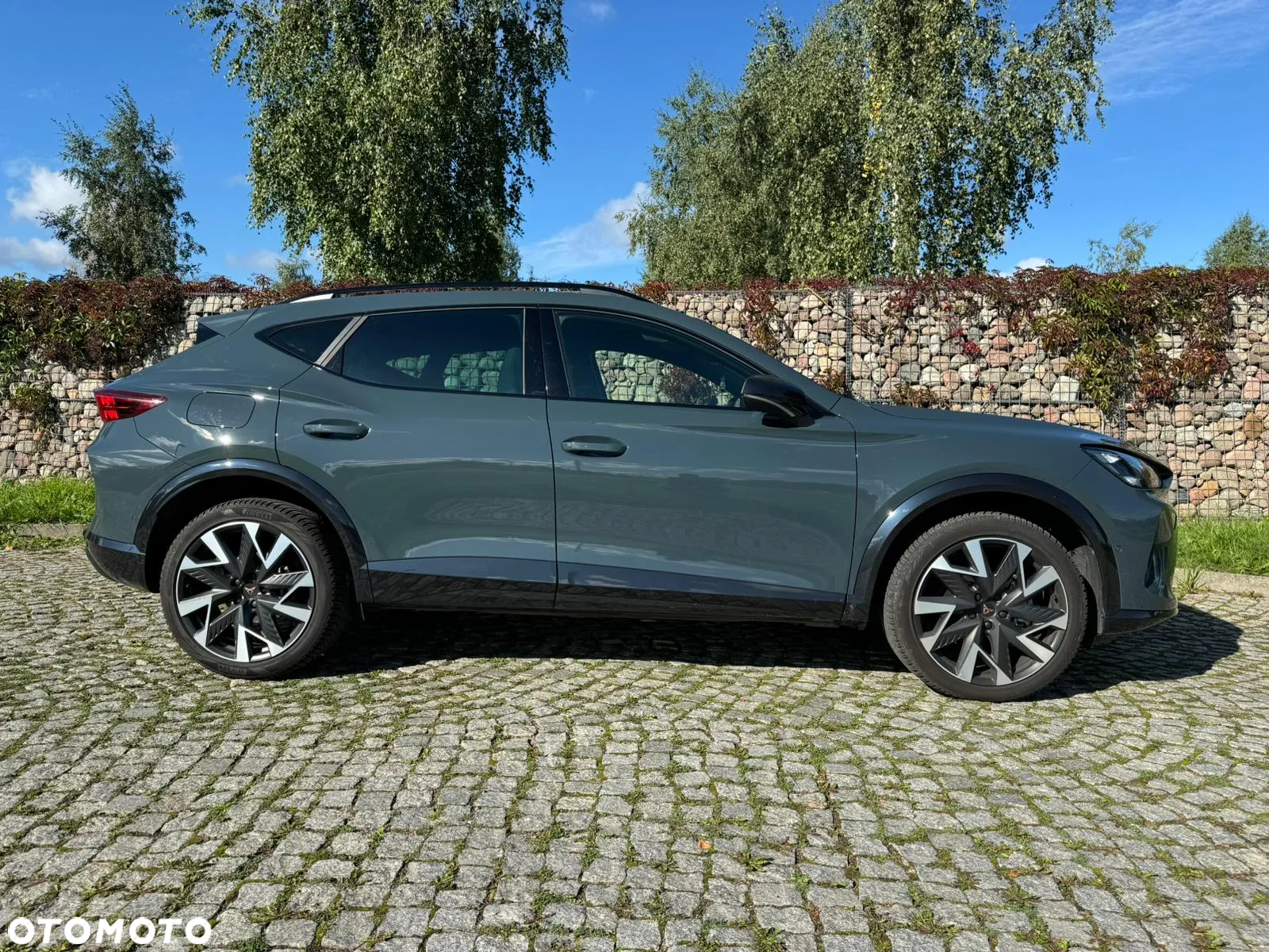 Cupra Formentor 1.5 TSI DSG - 7