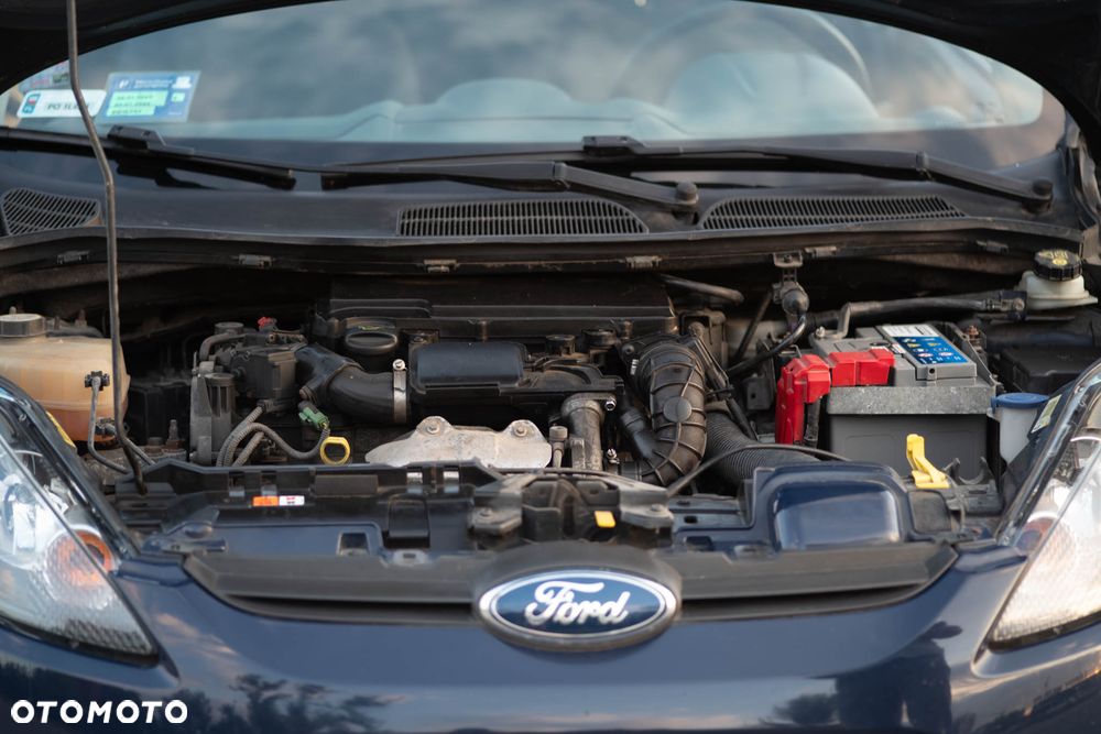 Ford Fiesta 1.4 TDCi Ambiente - 19
