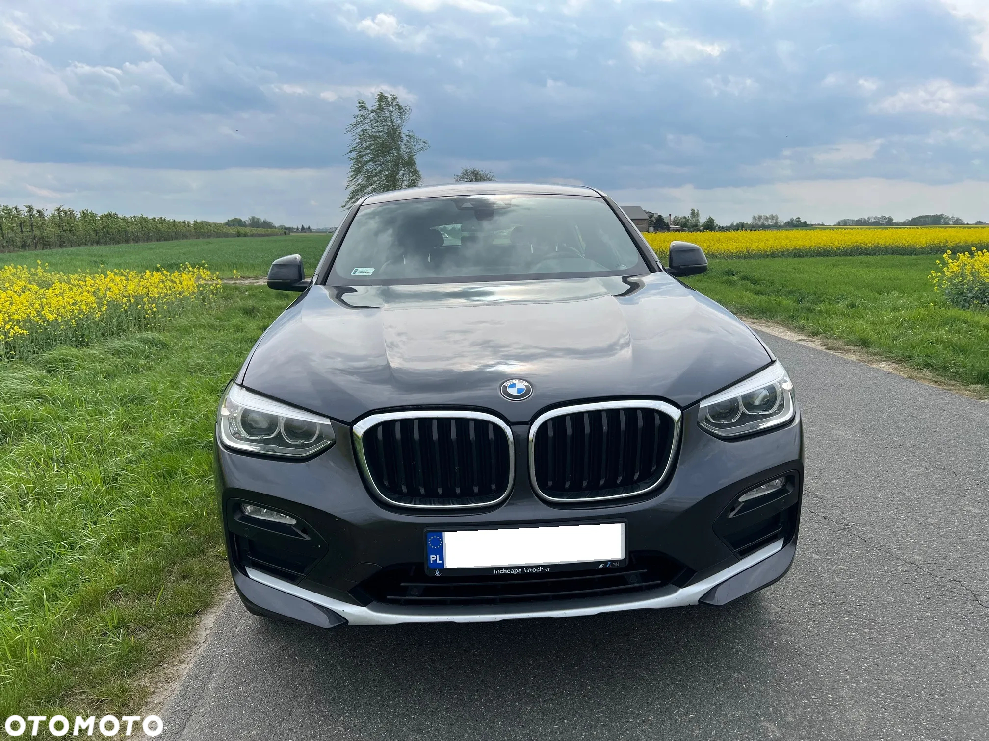 BMW X4 xDrive20d xLine sport - 5