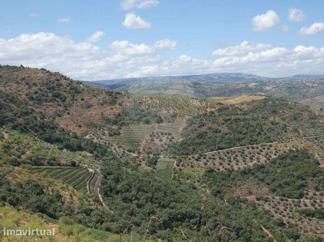 Terreno  para venda - Grande imagem: 3/5