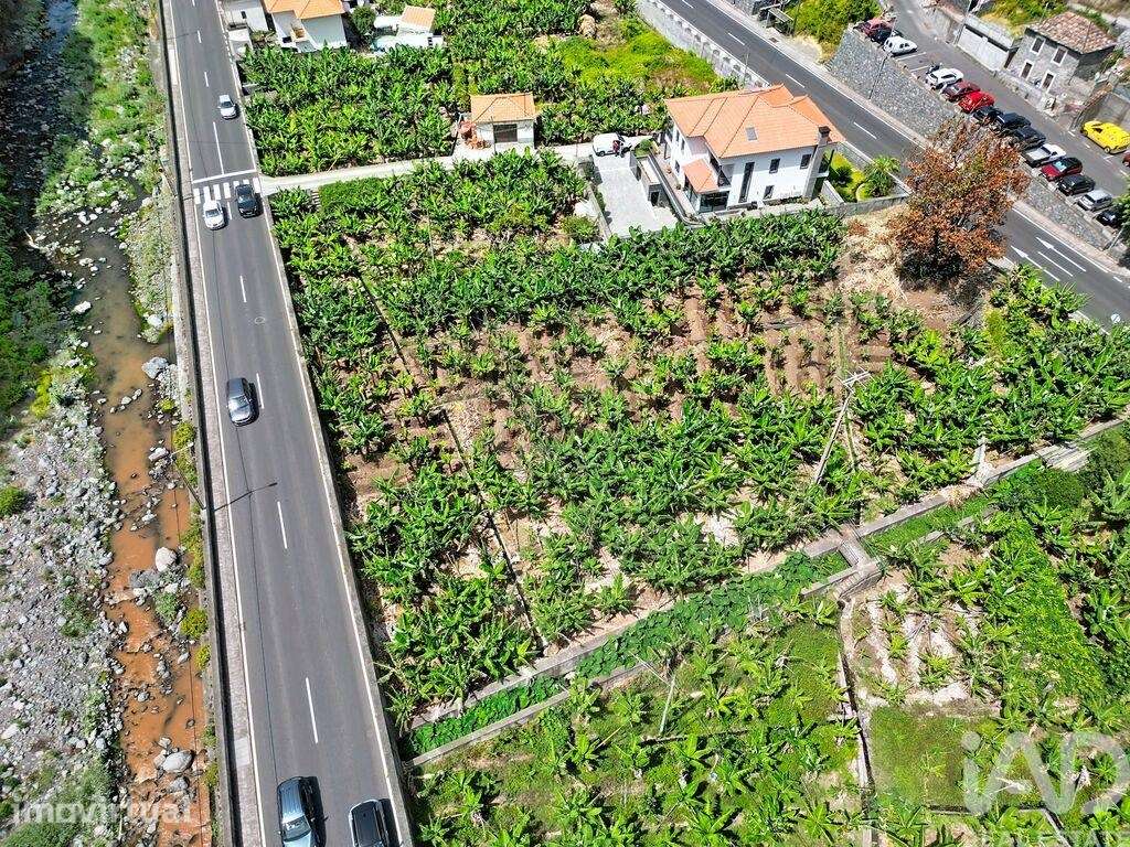 Terreno em Ribeira Brava - Grande imagem: 2/11