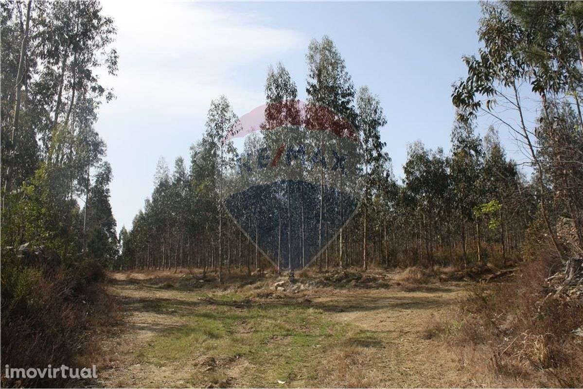 Terreno  para venda - Grande imagem: 4/9