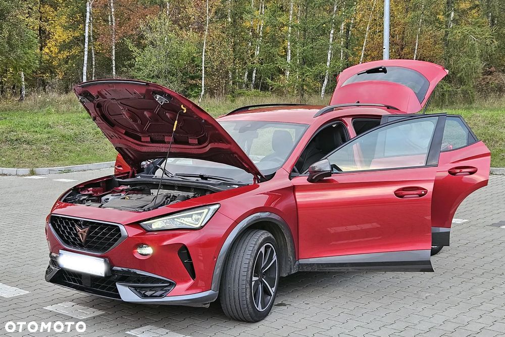 Cupra Formentor 1.5 TSI DSG - 19