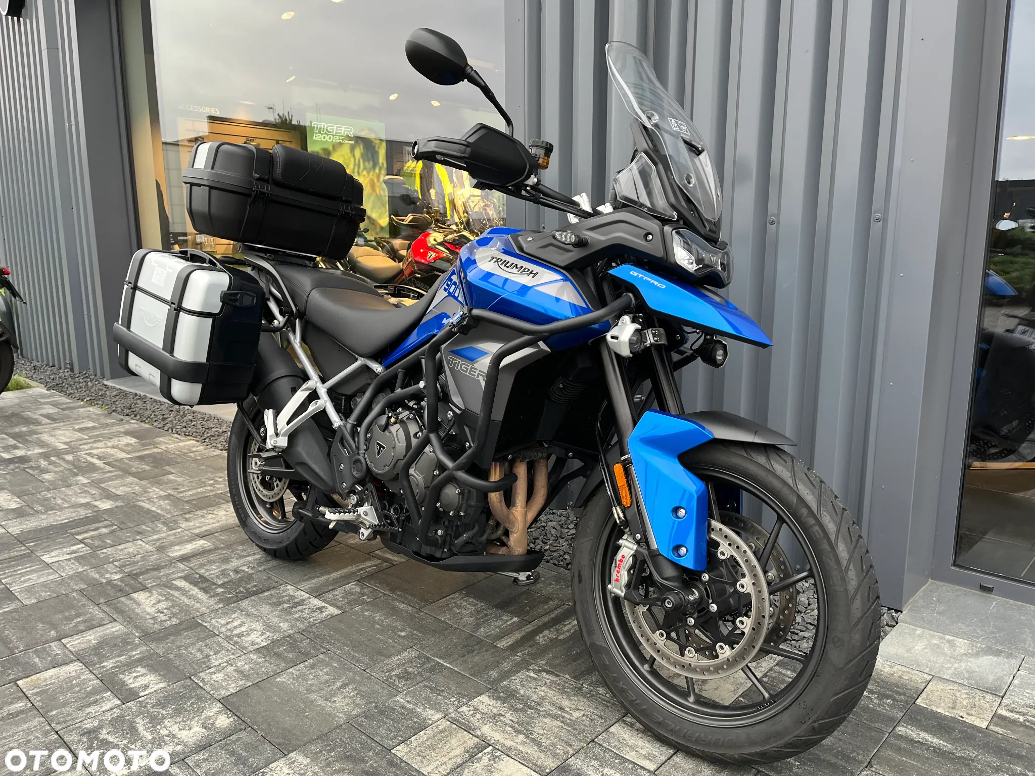 Triumph Tiger
