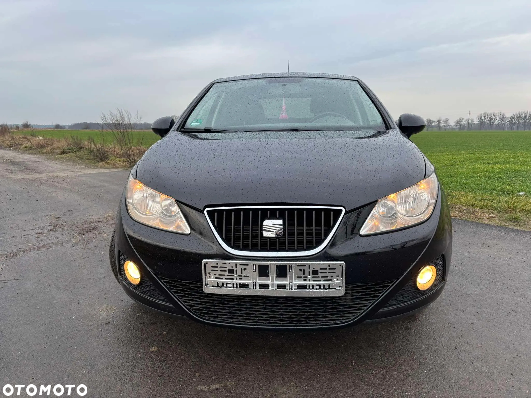 Seat Ibiza - 16