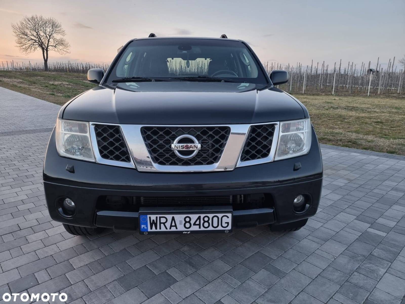 Nissan Pathfinder 2.5 D SE - 37