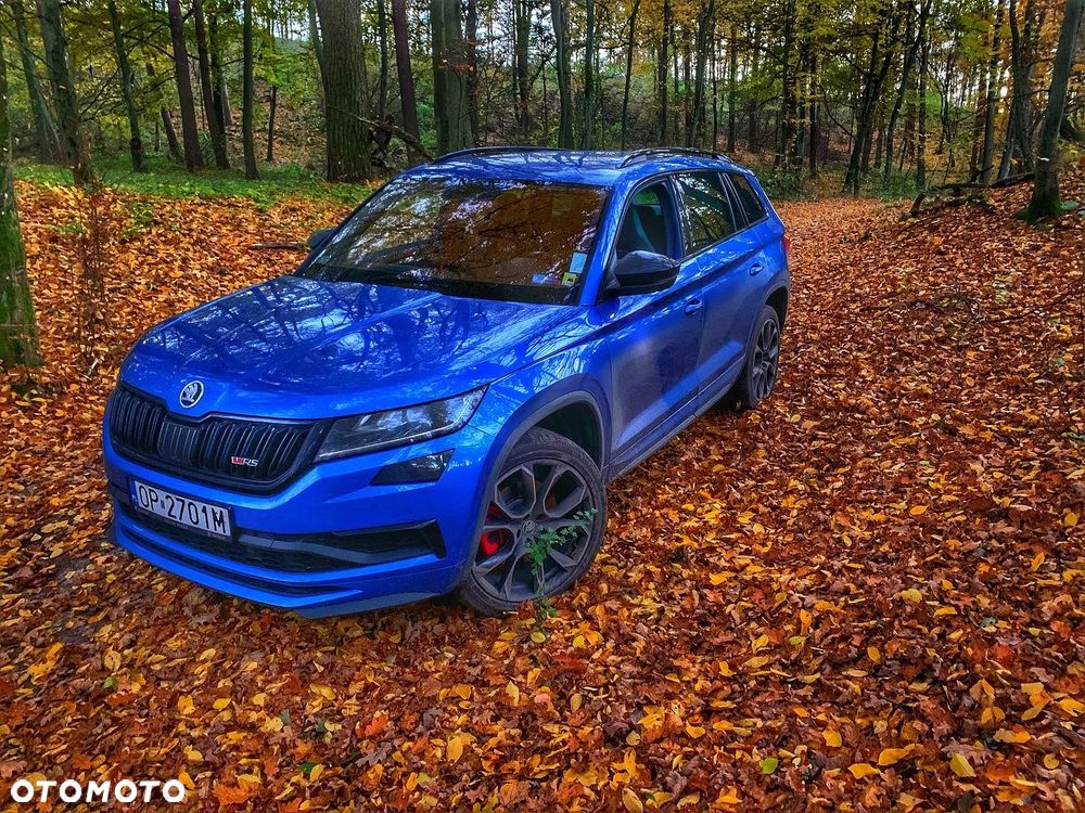 Skoda Kodiaq 2.0 Bi-TDI 4x4 RS DSG - 19