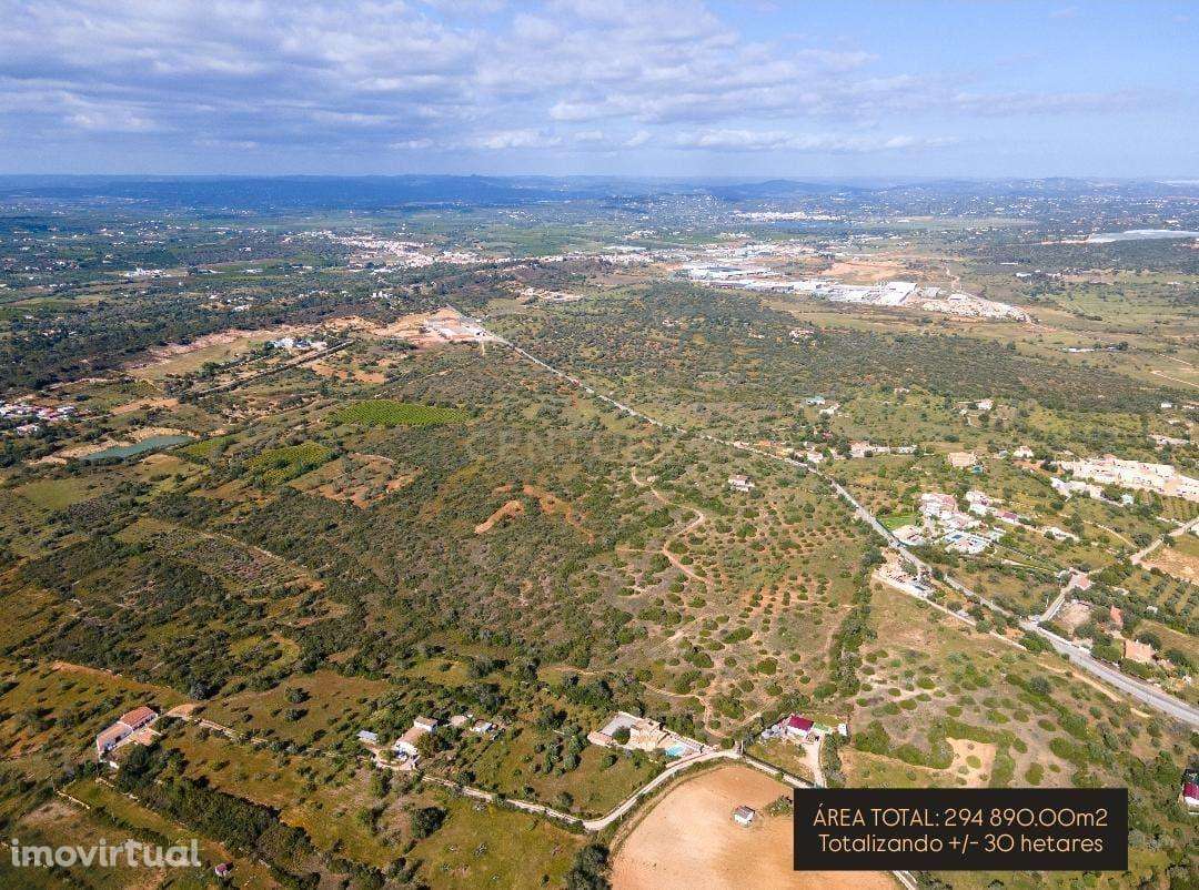 Oportunidade Única no Algarve: Quinta com Potencial para Hotel Rural / - Grande imagem: 4/15