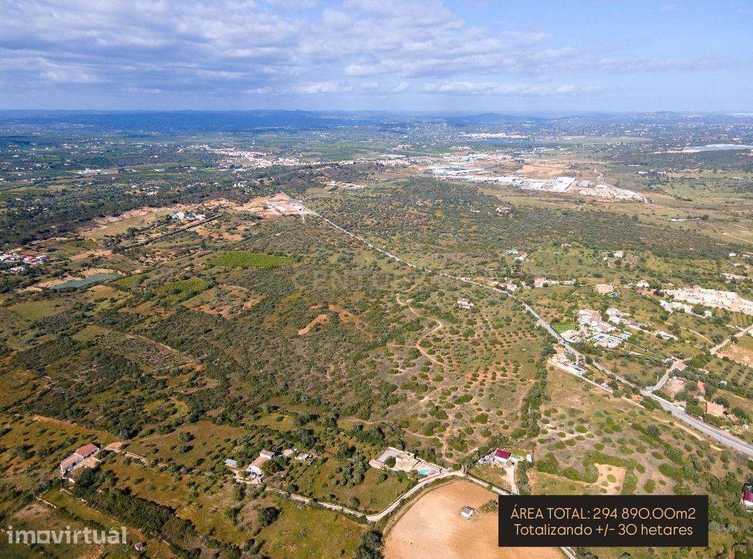 Oportunidade Única no Algarve: Quinta com Potencial para Hotel Rural / - Grande imagem: 4/15