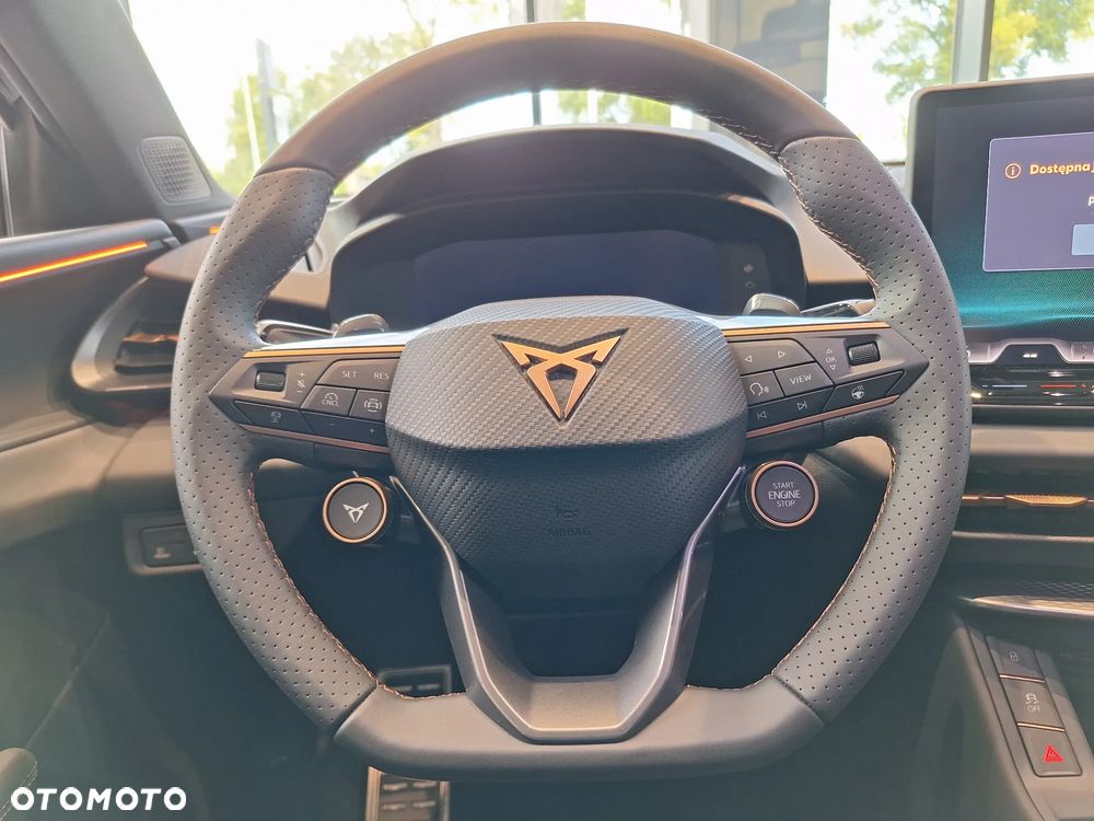 Cupra Terramar 2.0 TSI 4Drive DSG - 18