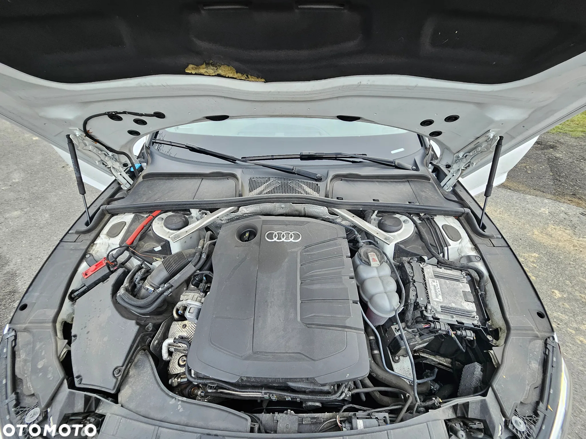 Audi A5 40 TDI Quattro S Line S tronic - 19