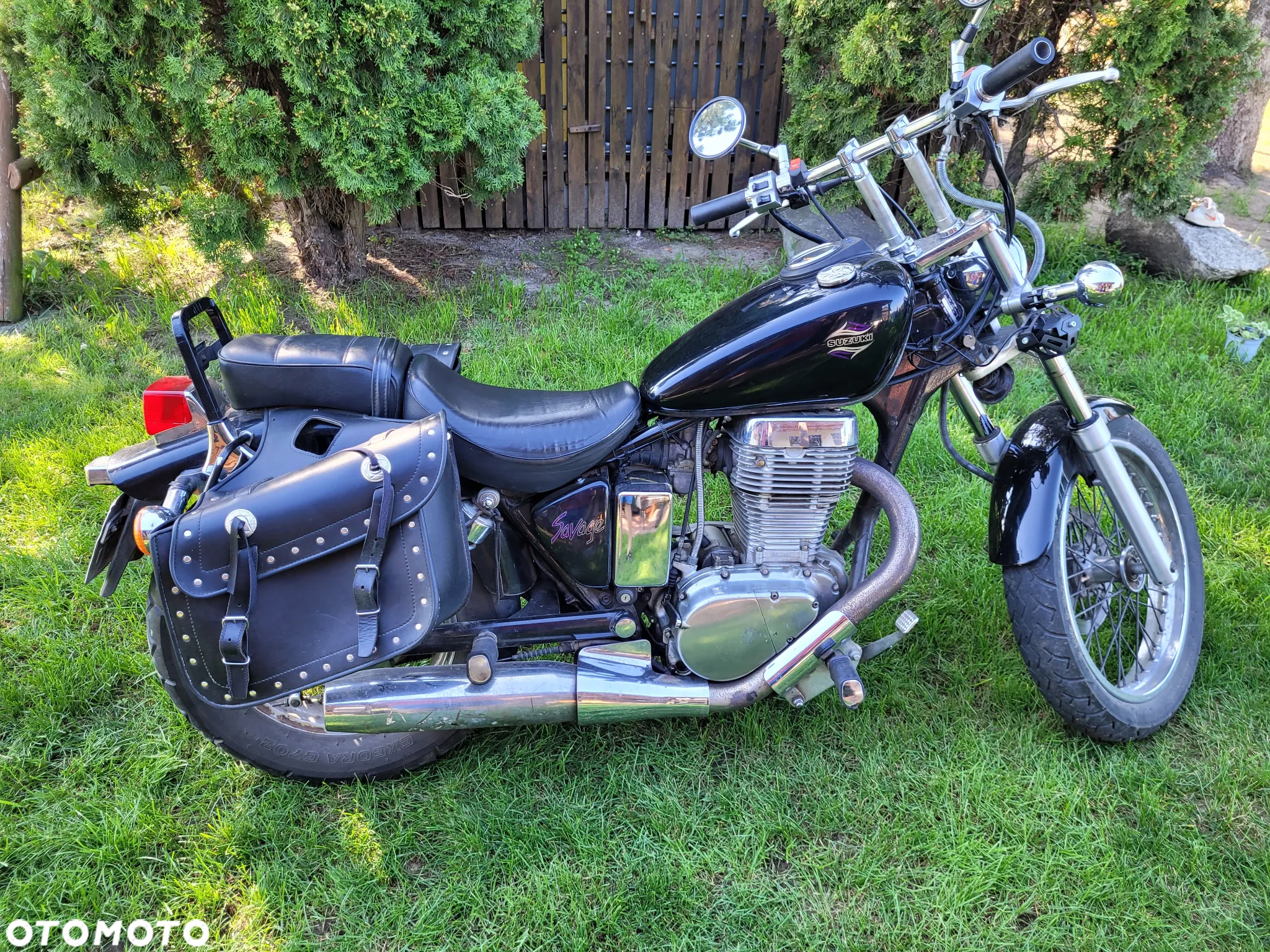 Suzuki Savage - 6