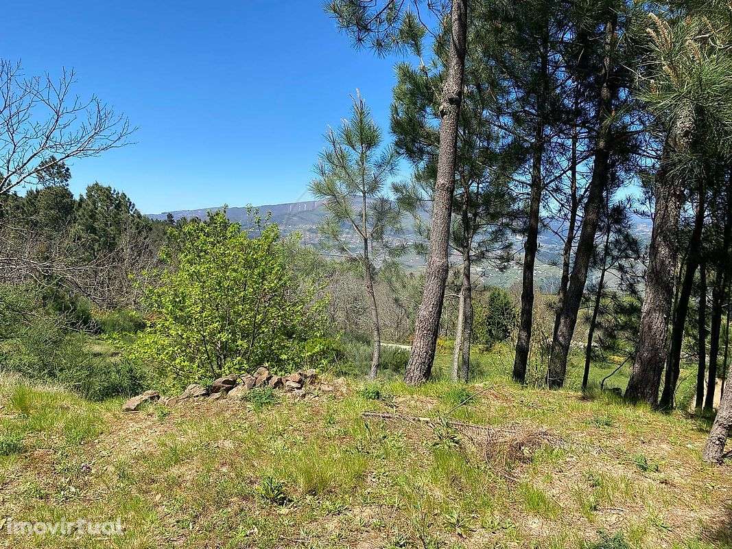 Terreno  para venda - Grande imagem: 5/11