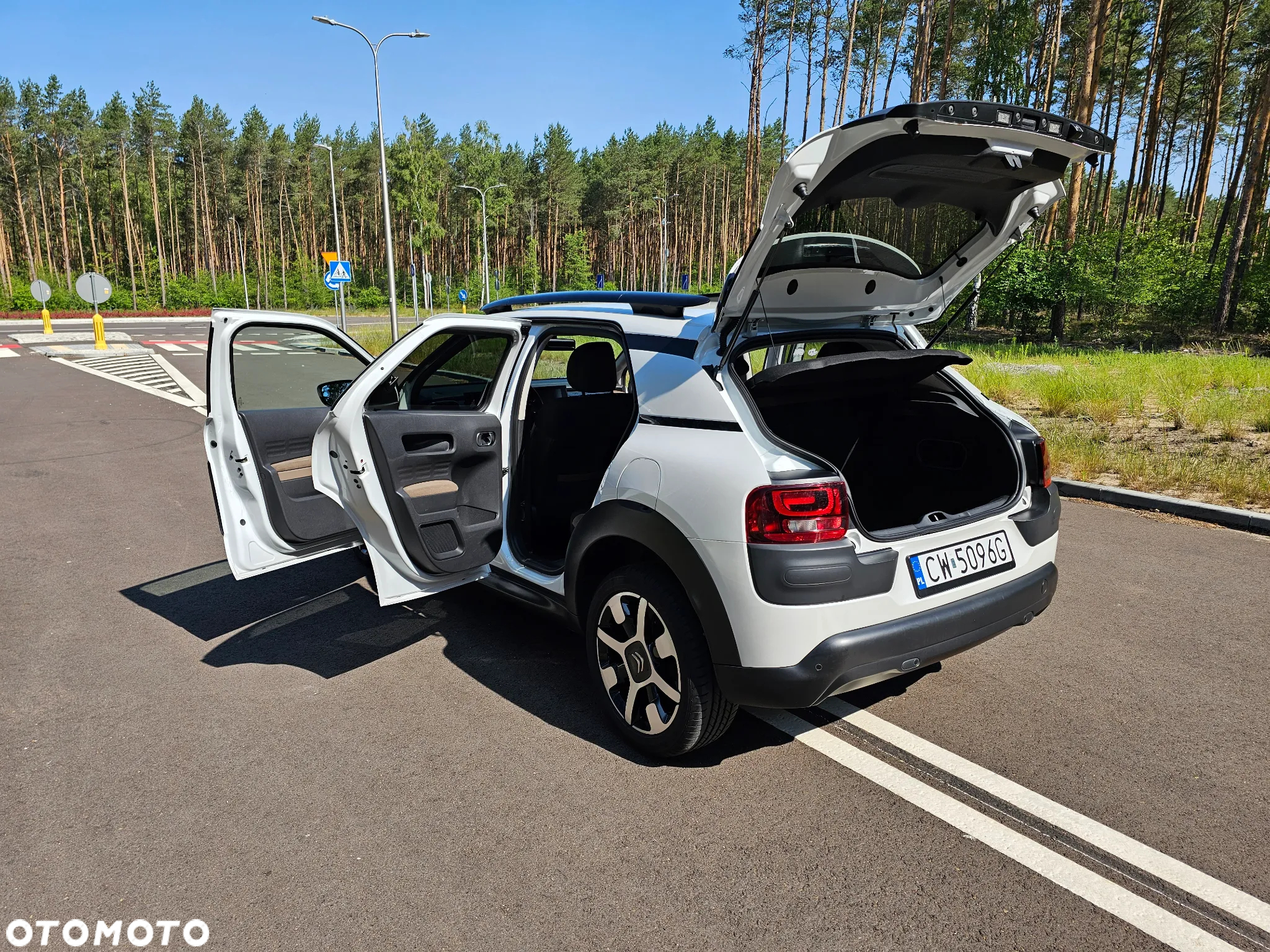 Citroën C4 Cactus 1.6 BlueHDi Shine - 18