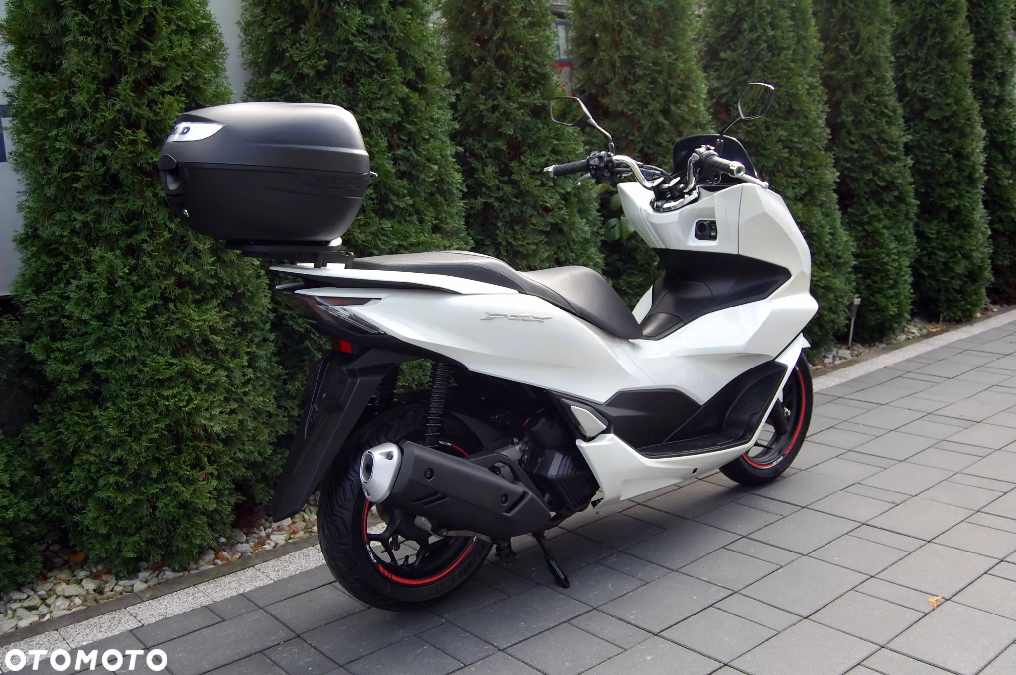 Honda PCX - 3