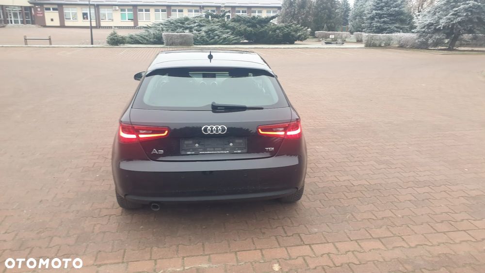 Audi A3 3-drzwiowe 1.6 TDI DPF Attraction - 6